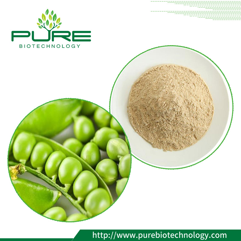 Nutritional Value and Application of Pea  Protein