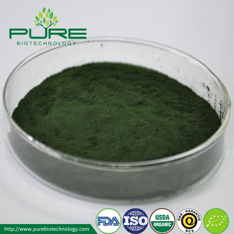 Main application of Chlorella powder